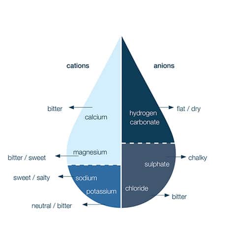 Water composition diagram showing cations and anions with their taste characteristics