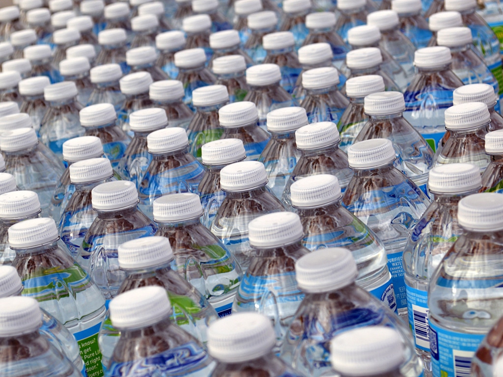 The Effects of Nanoplastics in Bottled Water