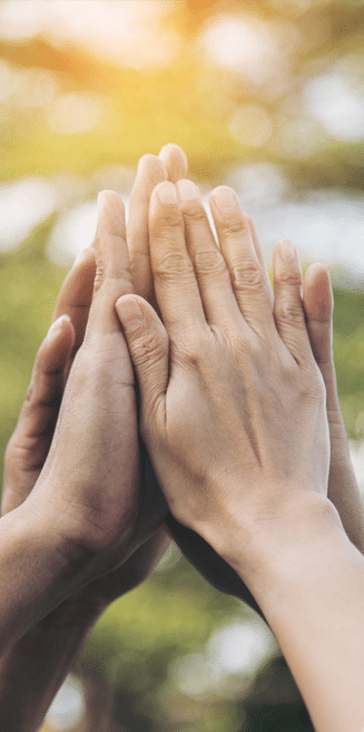 Hands raised together in support of sustainability under sunlight